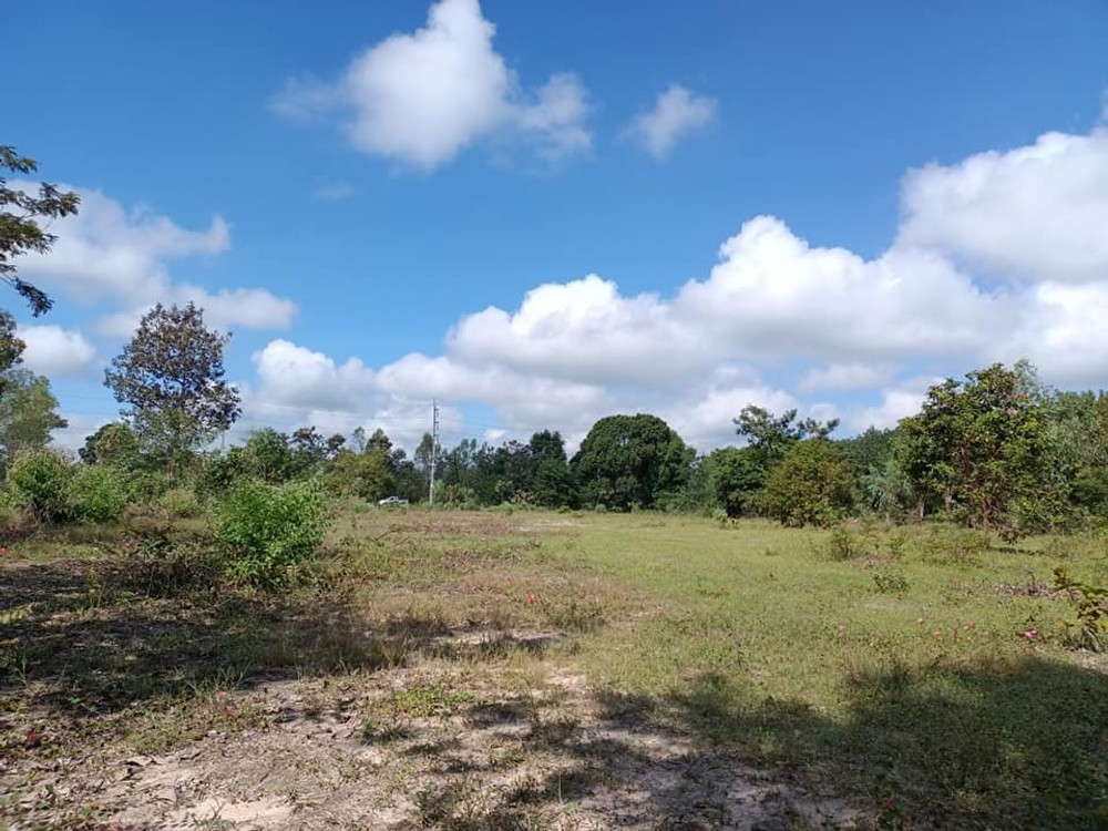 ขายที่ดิน สว่างวีระวงศ์ อุบลราชธานี
Land for sale Sawang Weerawong, Ubon Ratchathani