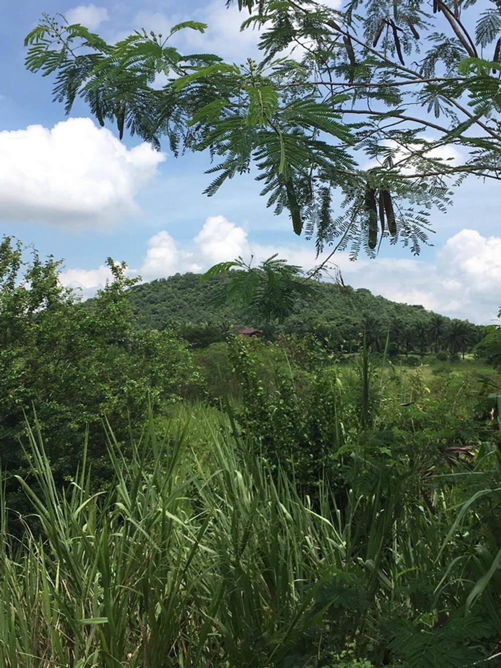 ขายที่ดินในสนามกอล์ฟ MISSION HILLS GOLF CLUB กาญจนบุรี พื้นที่ 352 ตร.วา