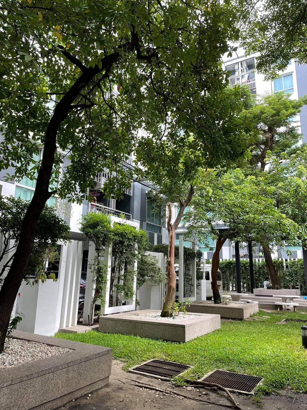 ให้เช่าคอนโด The Seed Ratchada - Huay Kwang l MRT ห้วยขวาง
