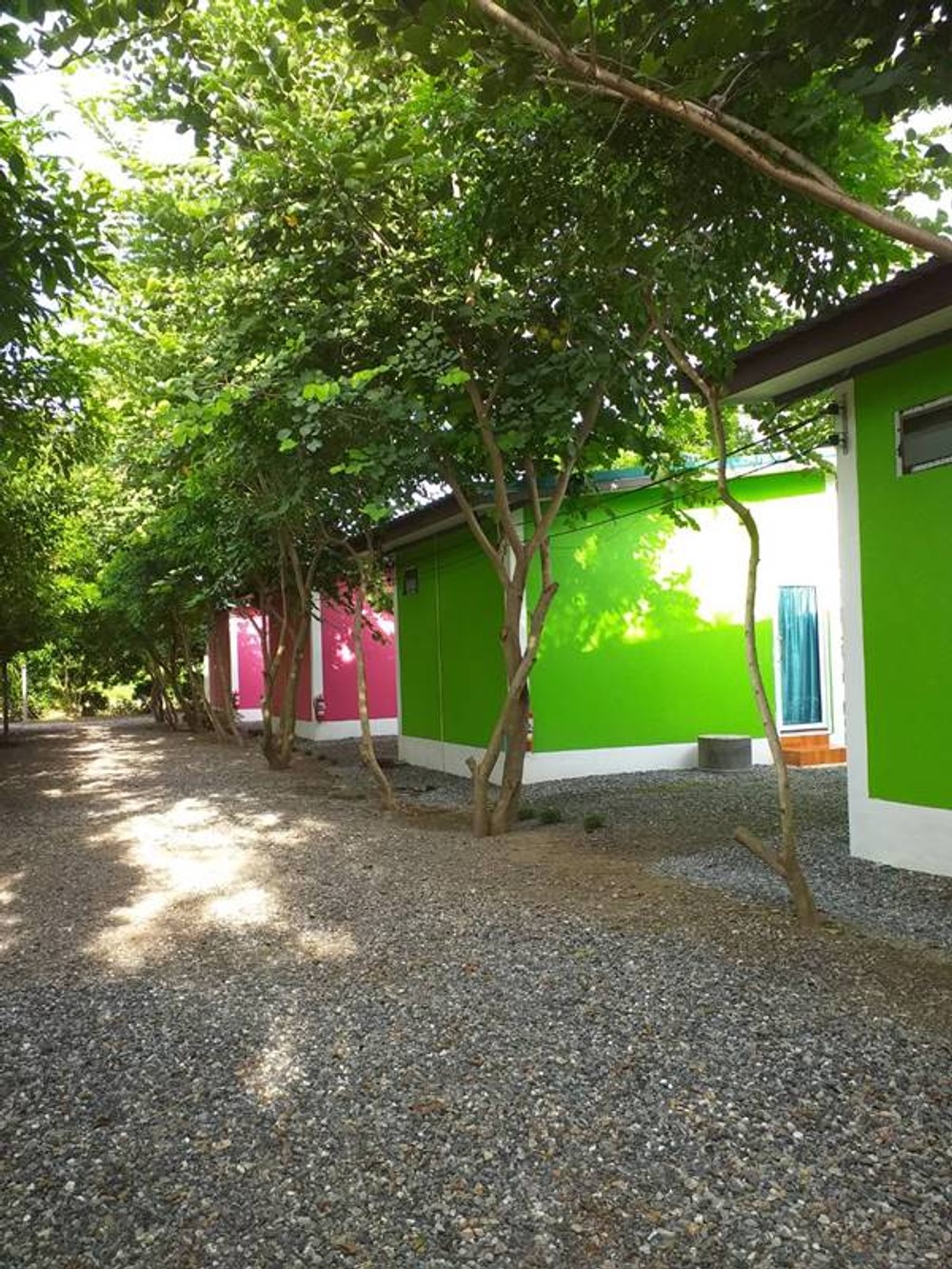 ขายรีสอร์ท เพลินชีวารีสอร์ทพร้อมบ้าน 1 หลัง ในจังหวัดนครสวรรค์ พื้นที่รวม 3 ไร่ ต่อรองได้ (เจ้าของขายเอง)