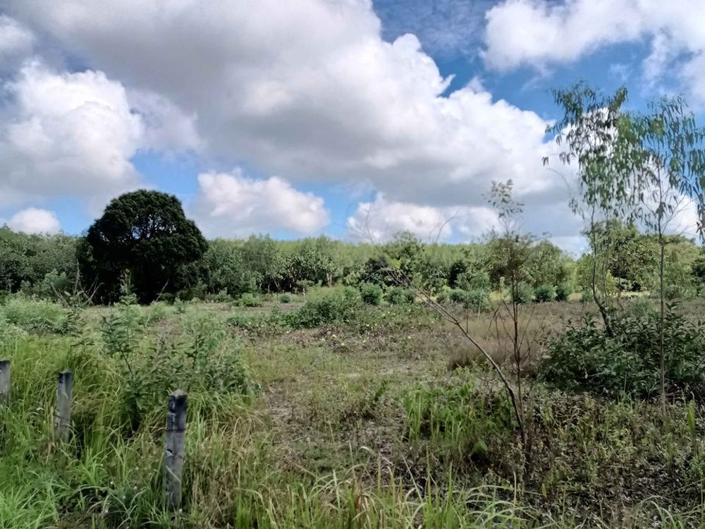 ขายที่ดิน สว่างวีระวงศ์ อุบลราชธานี
Land for sale Sawang Weerawong, Ubon Ratchathani