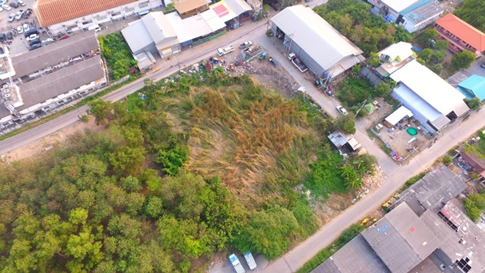 ขายที่ดินแปลงสวย 1-3-84 ไร่ (784ตร.ว.)  คลองหลวง21 แปลงมุม ติดถนน 3 ด้าน เหมาะทำโกดัง จุดกระจายสินค้า