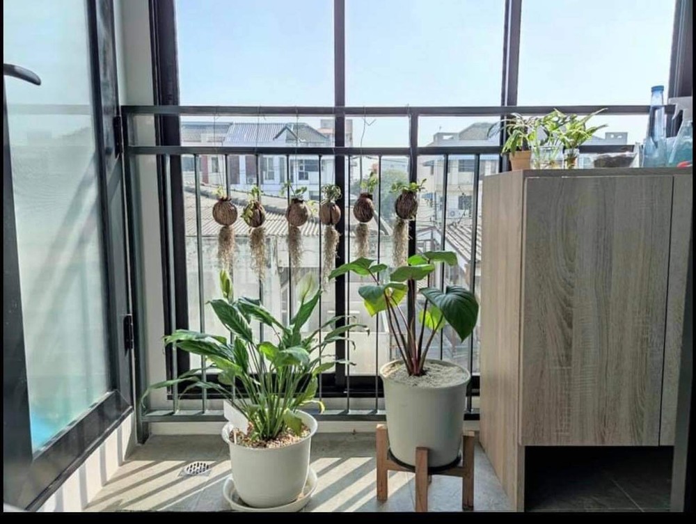 thumbnail-6
