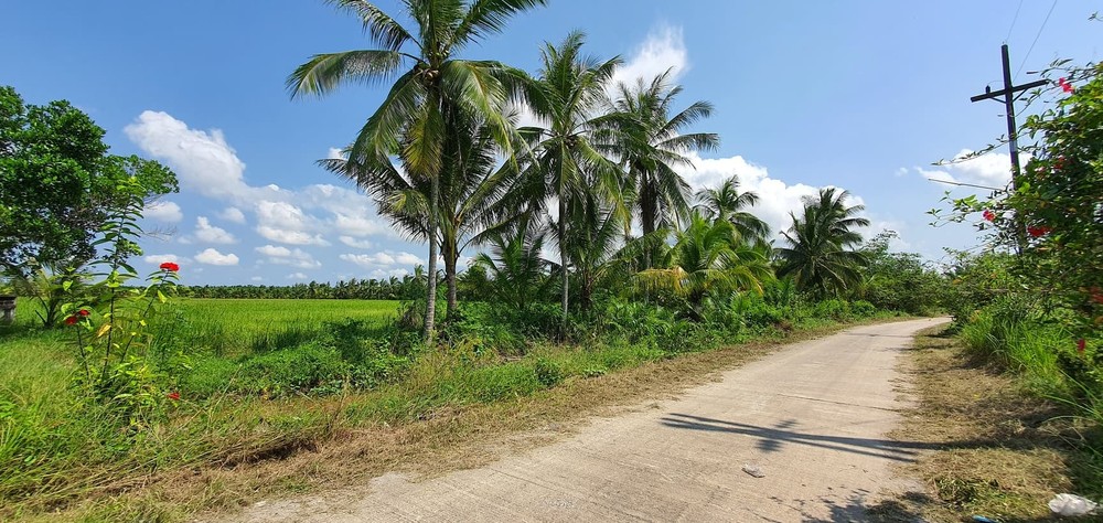 ที่ดินเปล่าทำเลดี 5 ไร่เศษ เมืองนครศรีธรรมราช