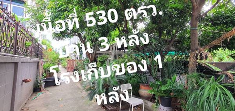thumbnail-7