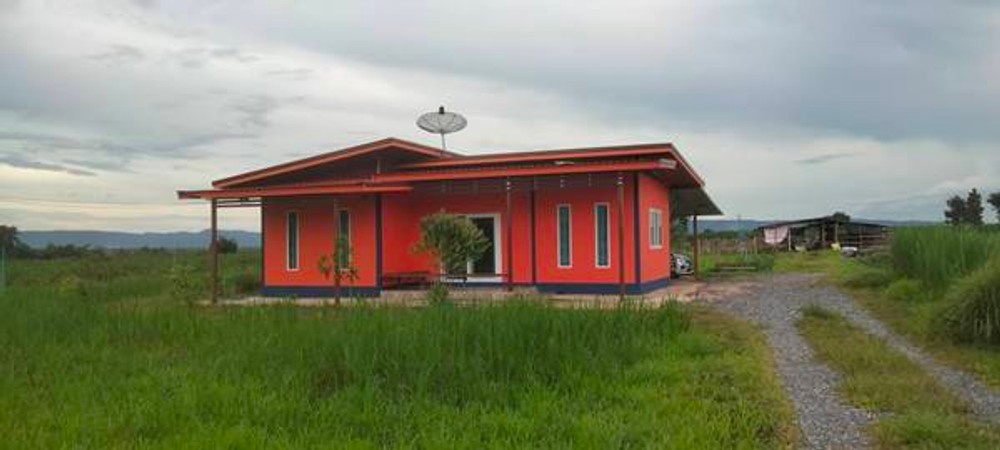 ขายบ้านพร้อมที่ดิน บ้านหนองหว้าน้อย อ.เมือง จ.หนองบัวลำภู เนื้อที่ 4 ไร่ 3 งาน 89 ตารางวา