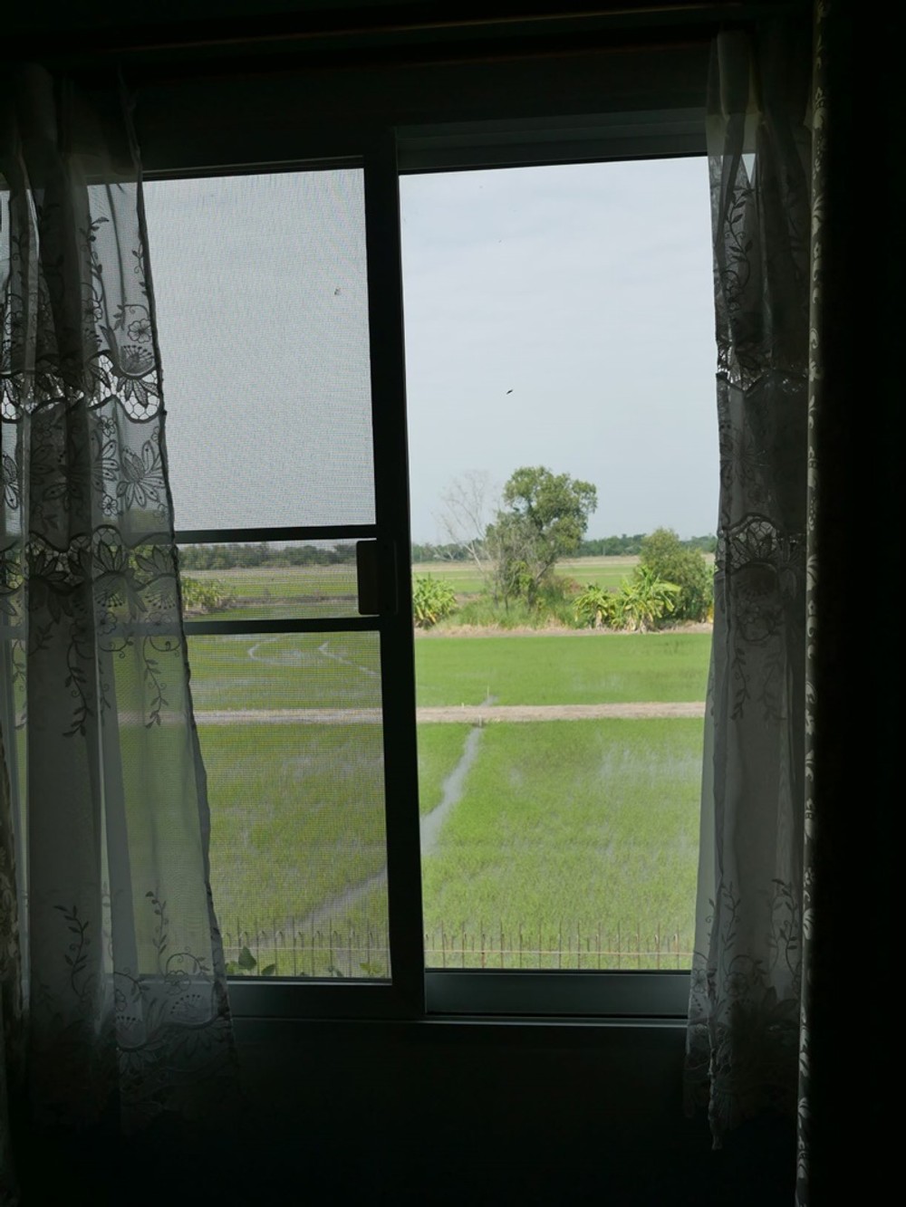 thumbnail-12