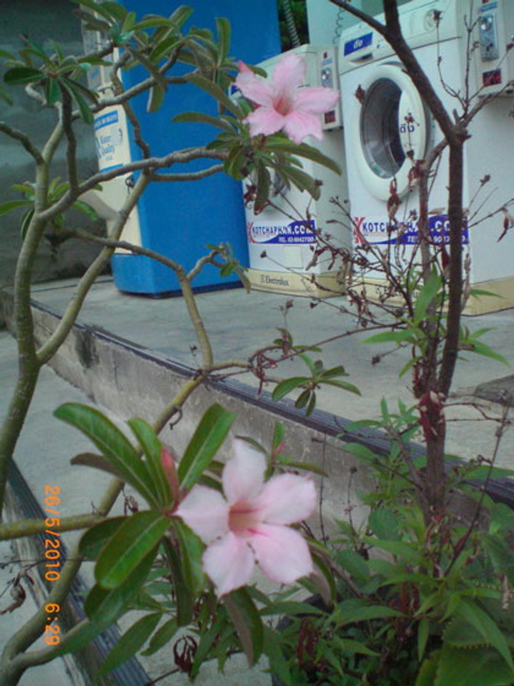 thumbnail-5