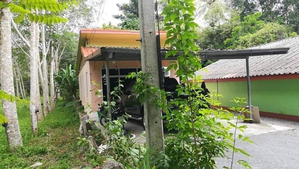 ขายบ้านเดี่ยว หนองเสม็ด ทุ่งสง นครศรีธรรมราช