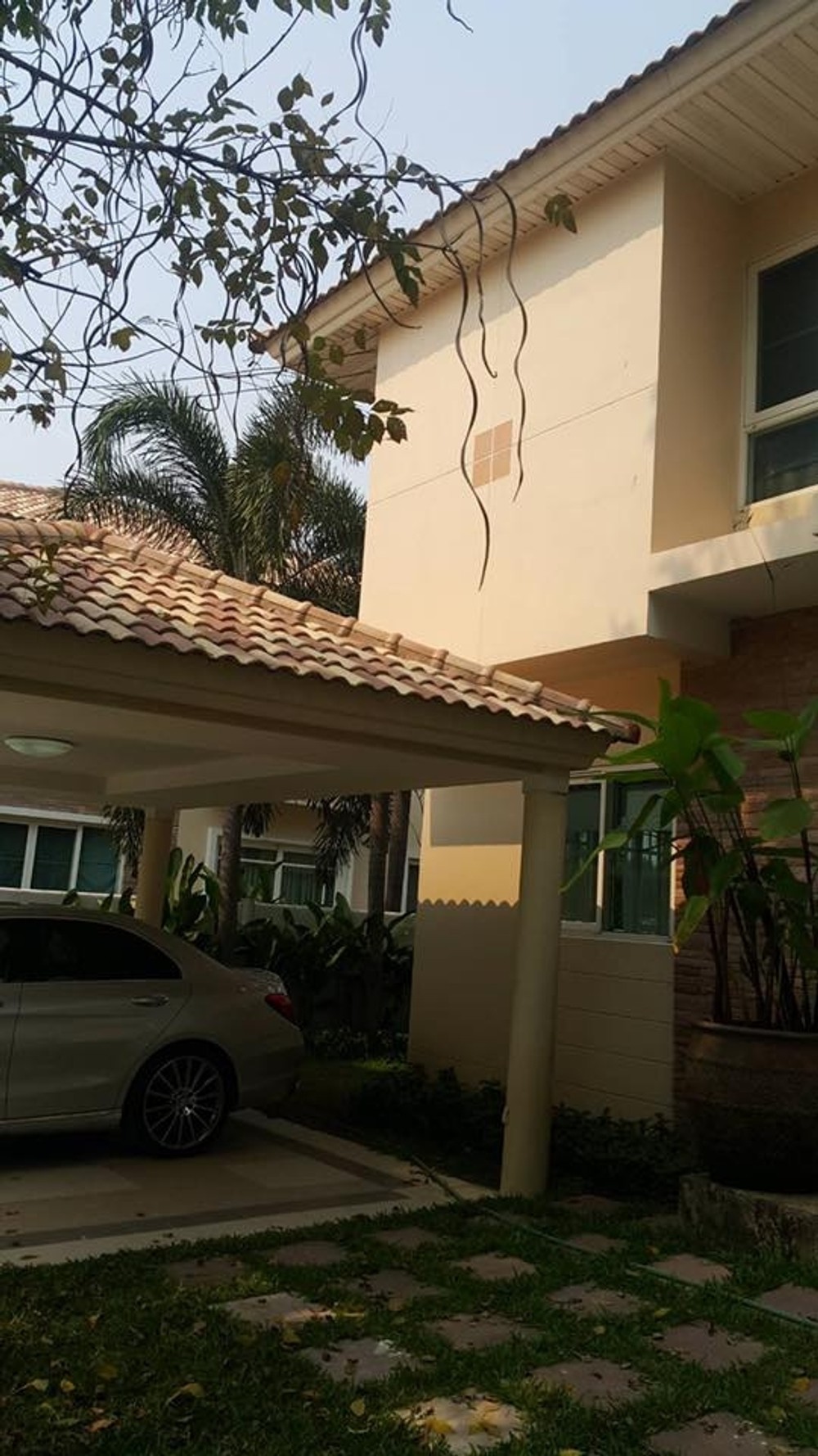 thumbnail-40