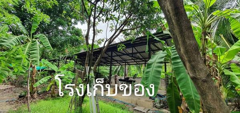 ขายบ้านพร้อมที่ดิน ถนนสุขุมวิท 101/1 ซ.วชิรธรรม 43 มี 4 หลัง เนื้อที่ 1 ไร่ 130 ตรว.